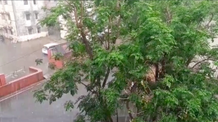Goa experiences unseasonal rainfall; IMD issues yellow alert