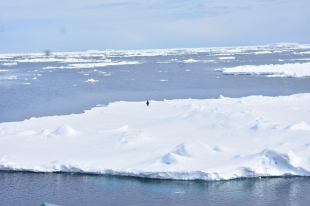 Centre for polar research study attempts to resolve the mystery of low sea ice cover in Antarctic