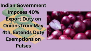 Indian Government Imposes 40% Export Duty on Onions from May 4th, Extends Duty Exemptions on Pulses