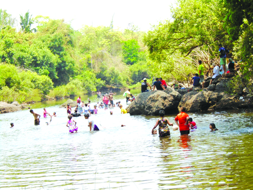 Summer picnics a regular feature  at ‘deadly’ Kodar River