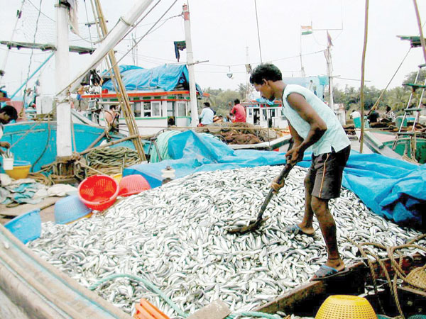 Herald: Slack tourism season, formalin issue hurt fish business in Goa