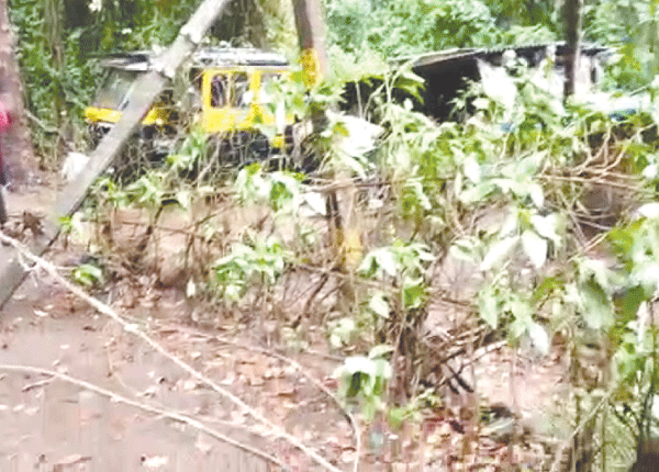 Kavlem p’yat blames forest dept,  temple committees for tree falls