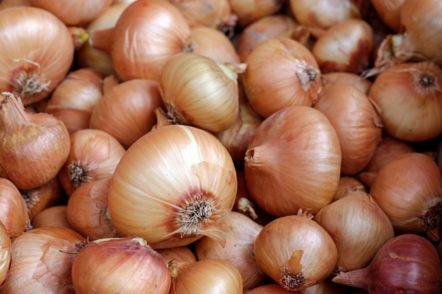 With Rs 15cr subsidy, onion prices may drop in horticulture outlets