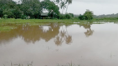 Guirim fields flooded
