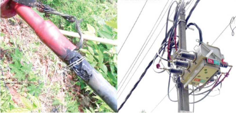 Rs 100 cr loss as Power Dept’s ambitious Aerial Bunched Cable technology fails