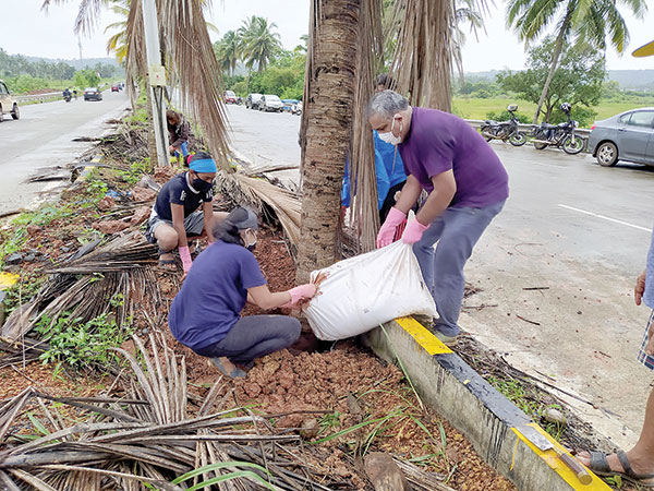 A Green initiative to save  Guirim’s iconic coconut trees 