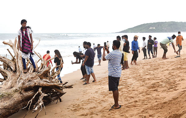 Are unemployed touts taking over tourism, in Goa?