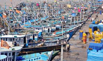 GRE accuses government of failing to curb  bull trawling by Malpe trawlers in Goan waters