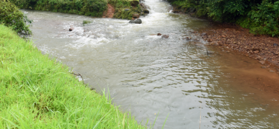 Karnataka continued to divert water  despite matter pending in SC: PFG