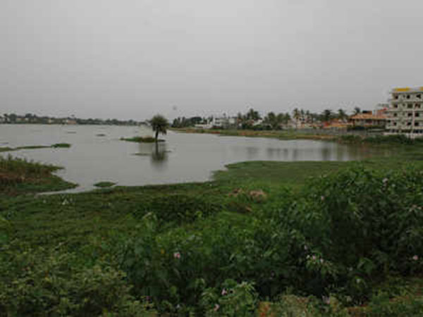 Another 14 water bodies set  to be declared as ‘Wetlands’ 