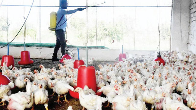 Ban on entry of poultry  worries traders, tourism stakeholders 