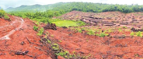 REGREENING GOA TO WARD OFF CLIMATE CHANGE