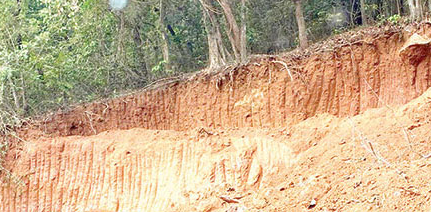 Illegal hill cutting stopped at Calangute