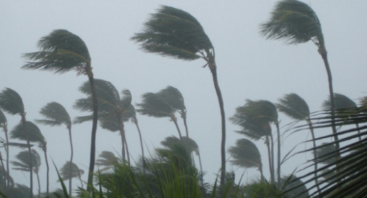Kolamba village in Sanguem suffers heavy cyclone
