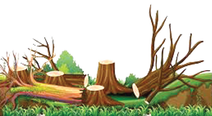 In-principle nod for clearing pvt forest for double tracking
