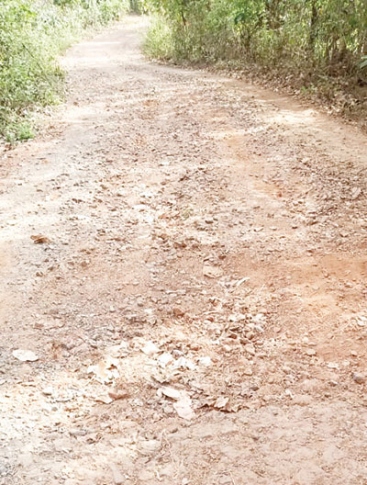 Shiroda locals want govt to  hot-mix roads on urgent basis