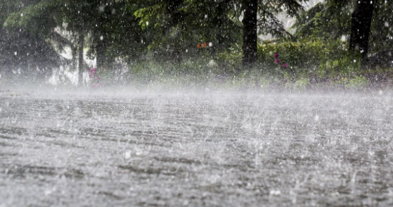 Moderate to heavy rains till May 17