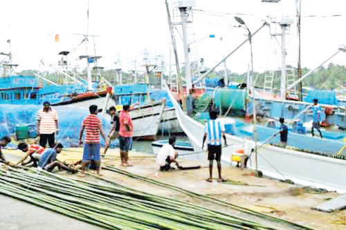 Cutbona Jetty harbours illegalities, piling problems; Needs proactive management