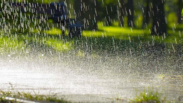 Rainfall to continue: IMD