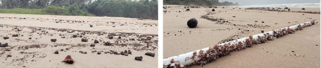 Our beaches are black: This is how the Goa  coastline is TAR-nished annually