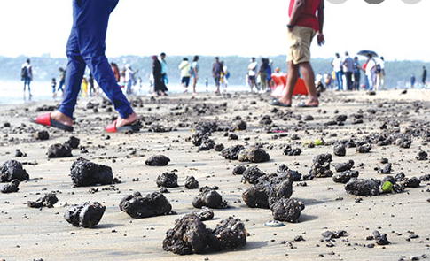 Govt has started taking action against rise in tarballs across beaches, assures Cabral