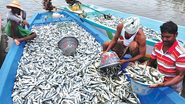 Act or we march: Traditional fishermen’s ultimatum