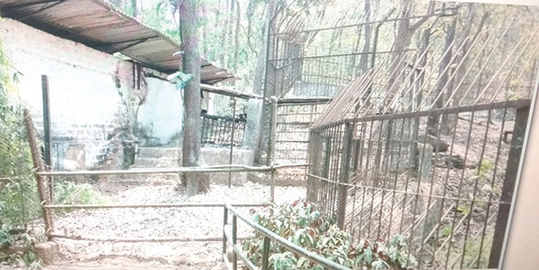Herald: Only zoo in State, Bondla losing its charm