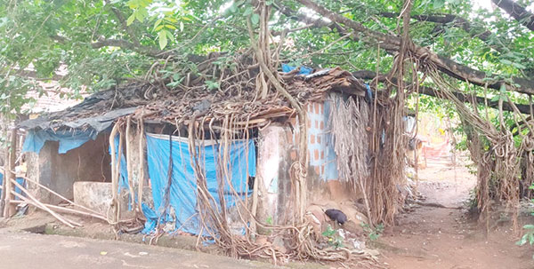 Govt will rebuild house of Mauzikar family: Health Min 