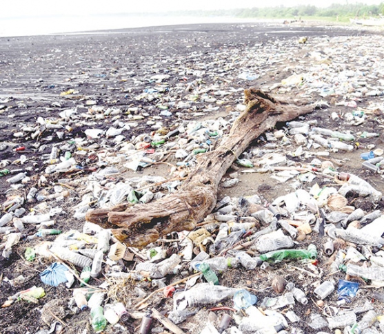 Goa’s rivers and major beaches polluted with high level of faecal coliform