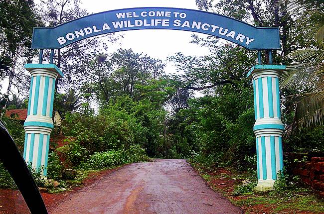 Forest Minister proposes State-of-the-art animal safari