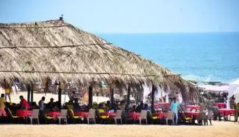 Govt out to finish off beach shack operators: TSOA president