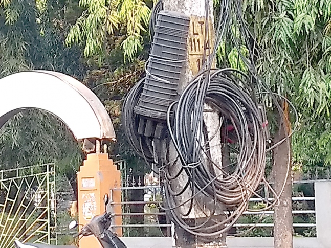 Large bundles of cables hanging  from electricity poles at Vasco