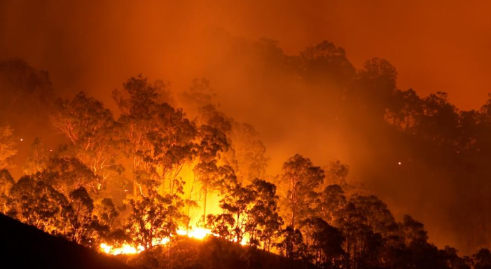 Authorities were warned in 2020 about possible forest fires due to climate change