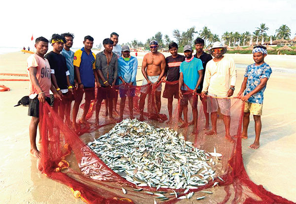 To safeguard legacy, veteran fisherfolk strive to revive Goa’s oldest occupation, traditional fishing