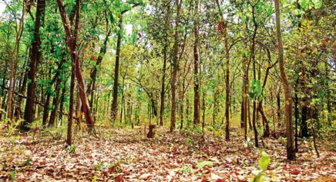 Caurem-Pirla villagers resolve to oppose  diversion of forest land for mining