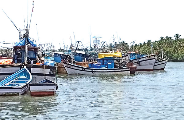 Despite fishing ban, trawlers still out at sea off Velsao coast, claims GRE