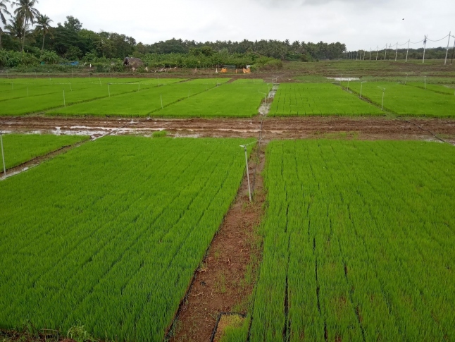 16k sq mtrs notified for conversion from paddy fields & natural cover in three talukas