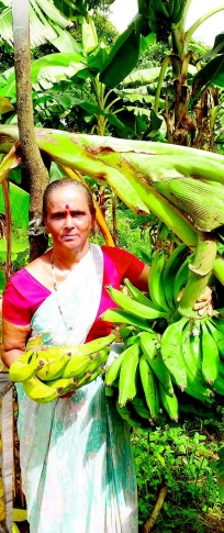 Ibrampur’s banana entrepreneur  Darshana Naik bats for local produce