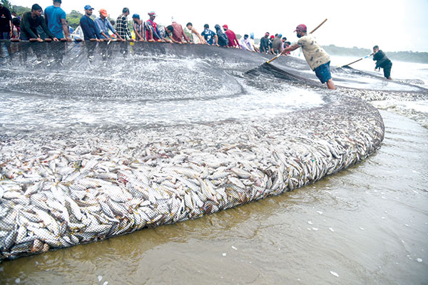 With poor govt support, local fishermen flounder 