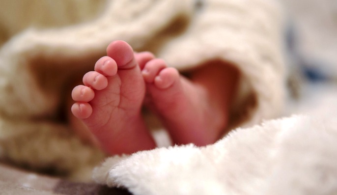  Government Doctor and Broker Arrested in Alleged Newborn Trafficking Scandal in Tamil Nadu