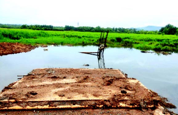 Goa follows Centre’s directions to declare wetlands, after five years  only on orders of the Green Tribunal
