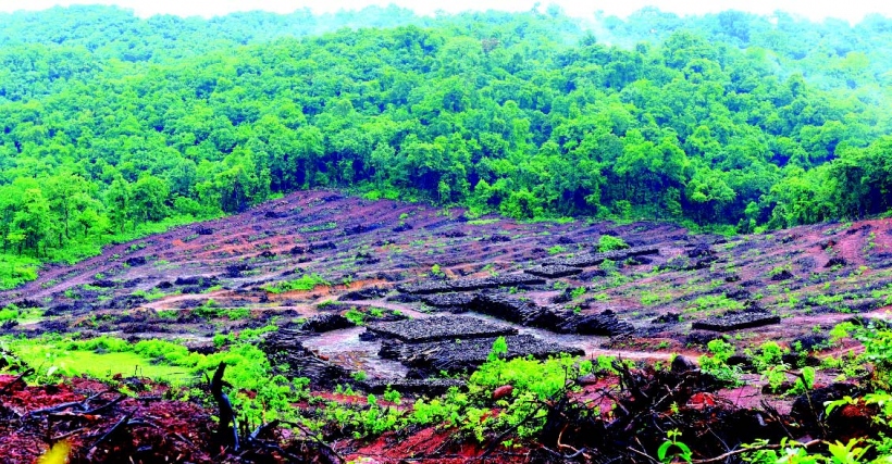 Greens slam Goa Wildlife board for  in-principle clearance to Tamnar project