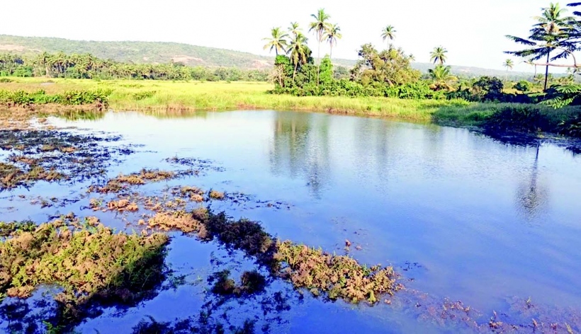 ENVIRONMENT CLEARANCE TO MULGAO MINE: DEATH KNELL TO LIVES AND LIVELIHOODS
