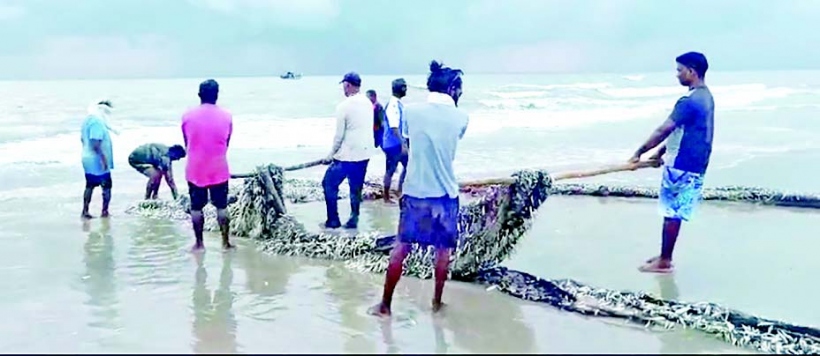 ‘EVEN OUR FISH IS TAKEN FROM OUR LAND’: Goa’s fisherfolk