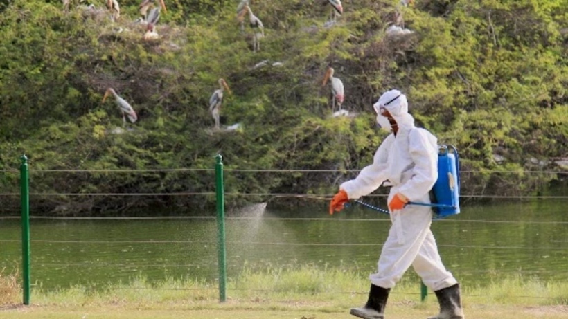 Bird Flu (H5N1) outbreak hits Alappuzha, Kerala