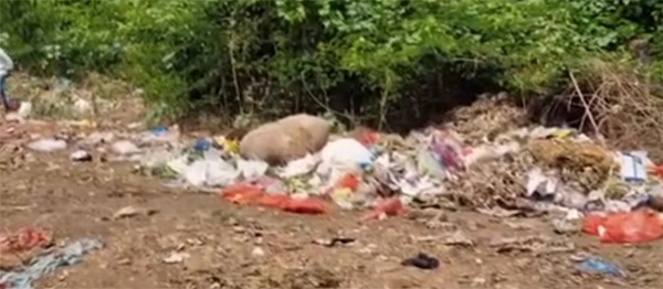 Trash piles up in Ponda; locals demand action over two-month hiatus in garbage collection