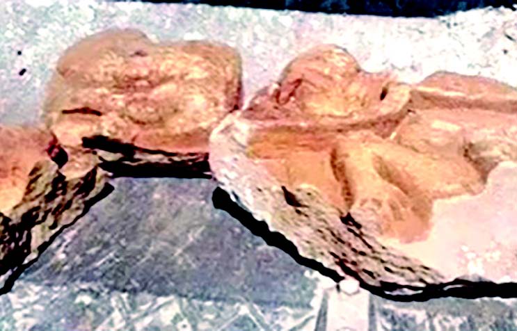 Second statue found in Panjim after Paulista sculpture unearthed on April 30
