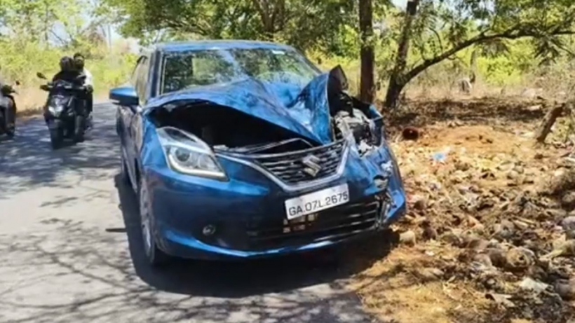 Stray Cattle Menace Causes Chaos; car majorly damaged 