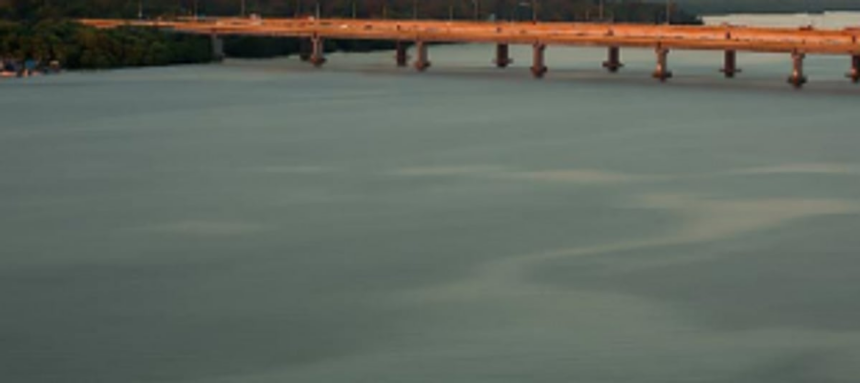 0f 323 polluted rivers in India, State has 11