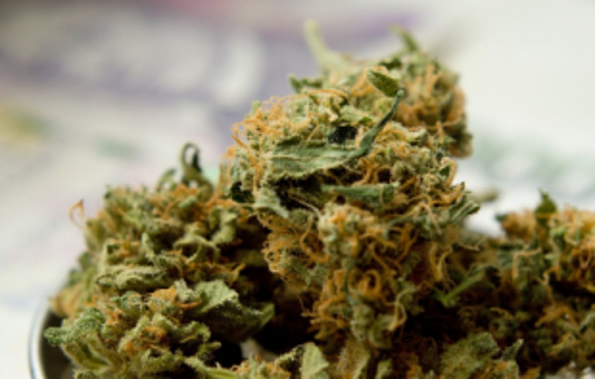1 held with   ganja at   Calangute